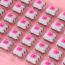 โครงสร้างสวิตช์แบบโปร่งใสของ Blossom Switch Linear