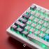 keycap saru KCX1