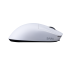 mouse saru mbx1